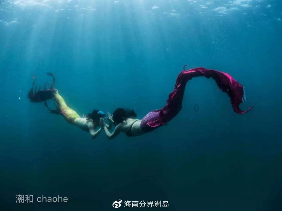 猪场怼怼乐